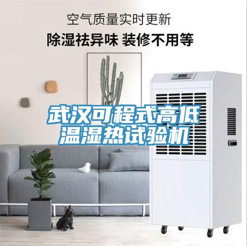 武漢可程式高低溫濕熱試驗機