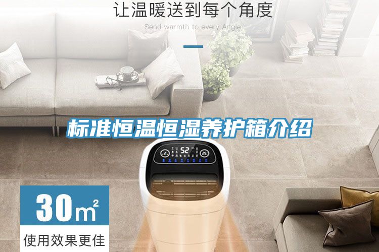 標準恒溫恒濕養護箱介紹