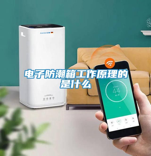 電子防潮箱工作原理的是什么