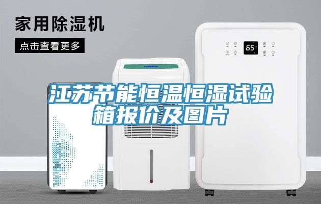 江蘇節能恒溫恒濕試驗箱報價及圖片