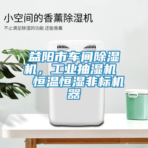 益陽市車間除濕機，工業抽濕機  恒溫恒濕非標機器