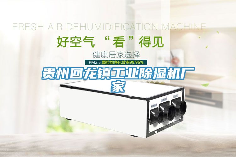 貴州回龍鎮(zhèn)工業(yè)除濕機廠家