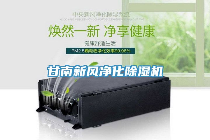 甘南新風凈化除濕機