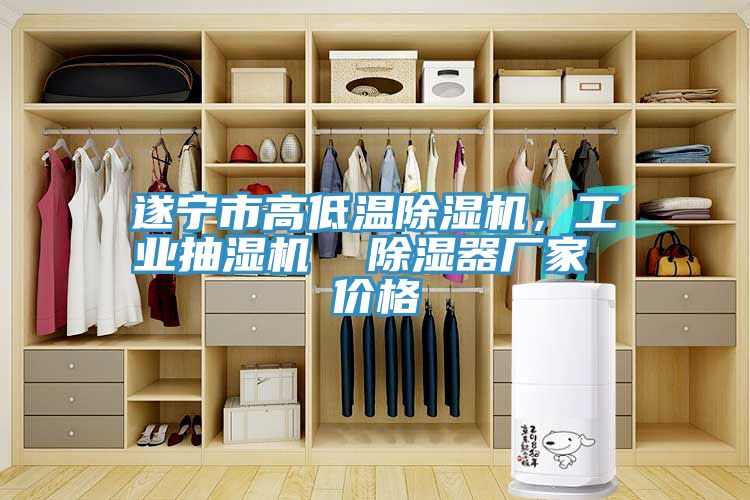 遂寧市高低溫除濕機，工業抽濕機  除濕器廠家 價格