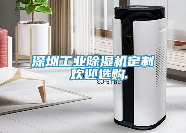 深圳工業除濕機定制 歡迎選購