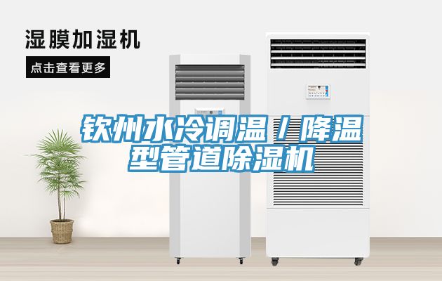 欽州水冷調(diào)溫／降溫型管道除濕機(jī)