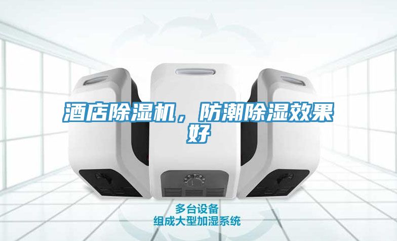 酒店除濕機，防潮除濕效果好