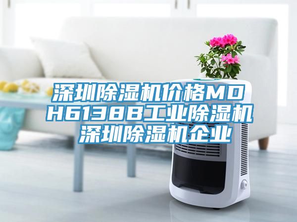 深圳除濕機價格MDH6138B工業除濕機 深圳除濕機企業