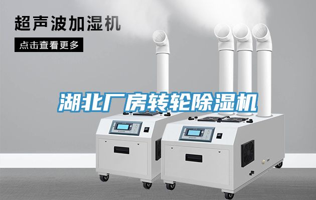 湖北廠房轉輪除濕機