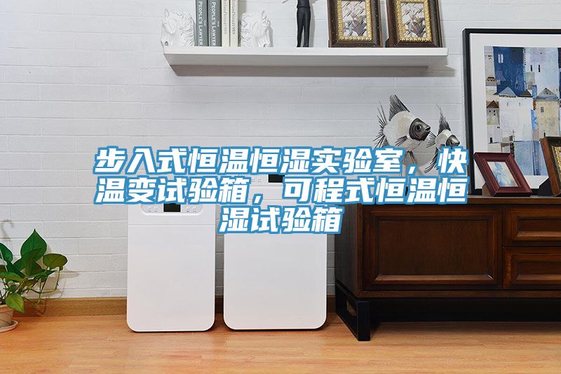 步入式恒溫恒濕實(shí)驗(yàn)室，快溫變試驗(yàn)箱，可程式恒溫恒濕試驗(yàn)箱
