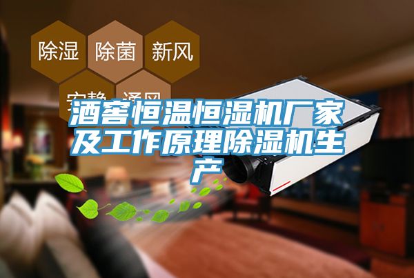 酒窖恒溫恒濕機廠家及工作原理除濕機生產