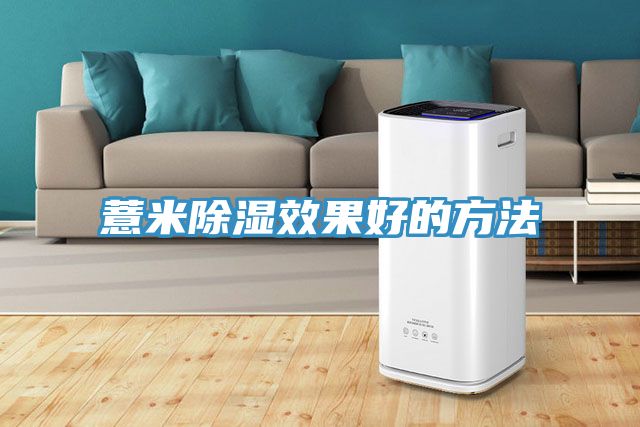 薏米除濕效果好的方法