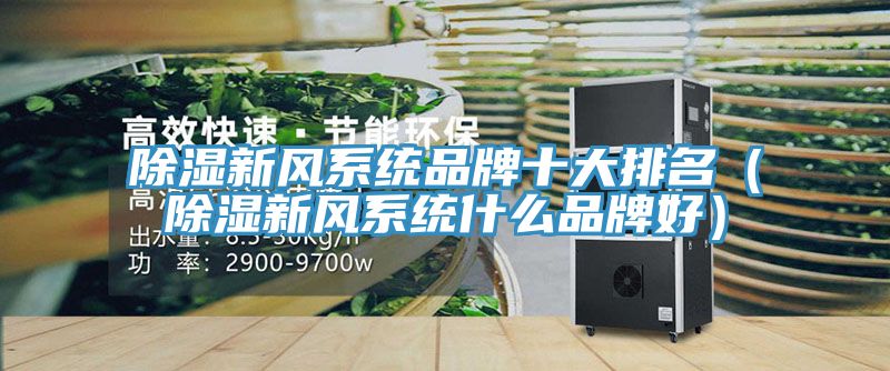 除濕新風系統品牌十大排名（除濕新風系統什么品牌好）