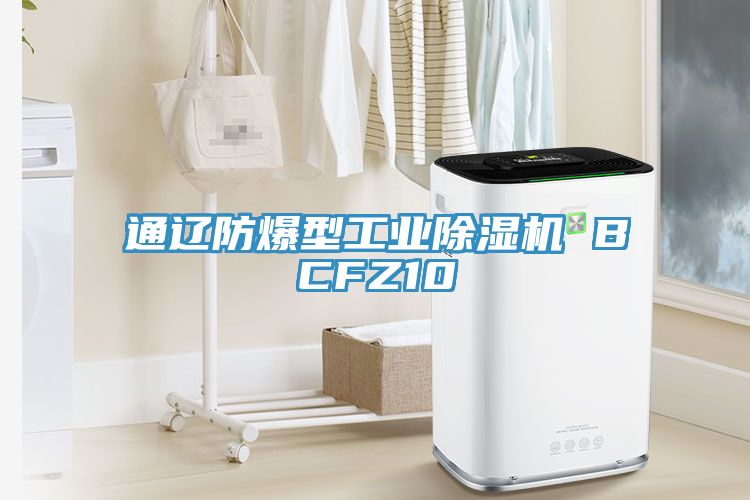 通遼防爆型工業除濕機 BCFZ10