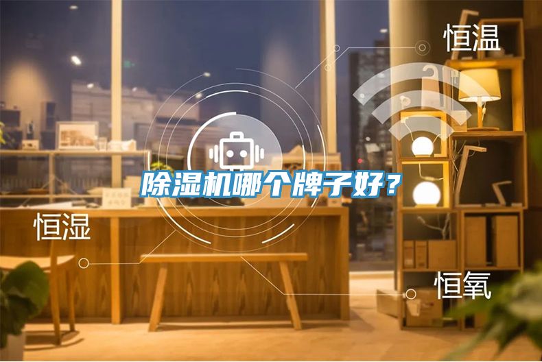 除濕機哪個牌子好?