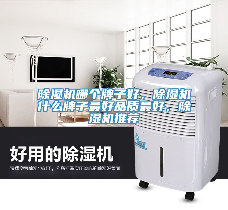 除濕機哪個牌子好,除濕機什么牌子最好品質最好,除濕機推薦