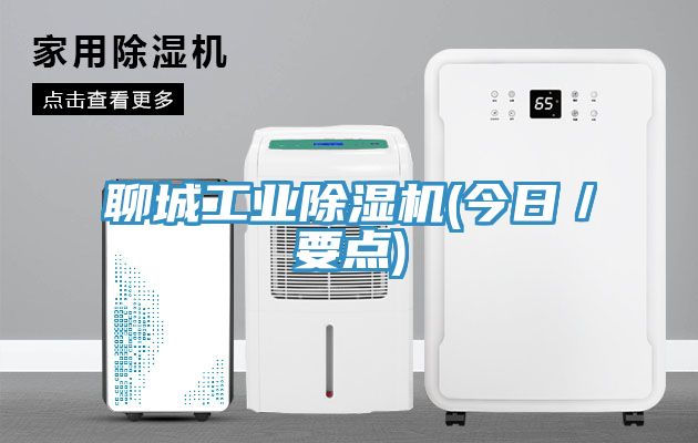 聊城工業除濕機(今日/要點)
