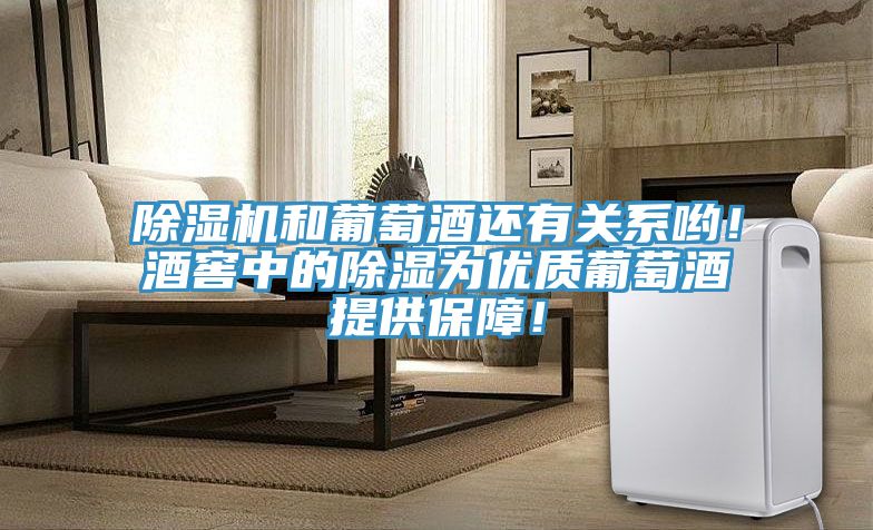 除濕機和葡萄酒還有關系喲!酒窖中的除濕為優質葡萄酒提供保障!