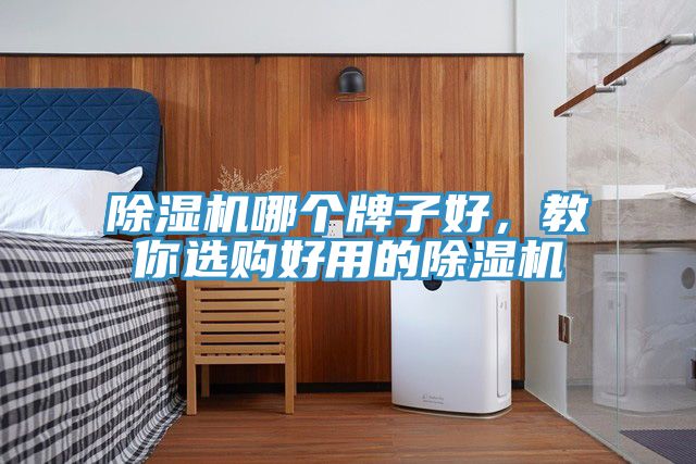 除濕機哪個牌子好,教你選購好用的除濕機