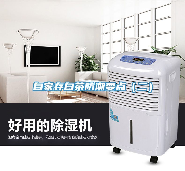 自家存白茶防潮要點(diǎn)（二）