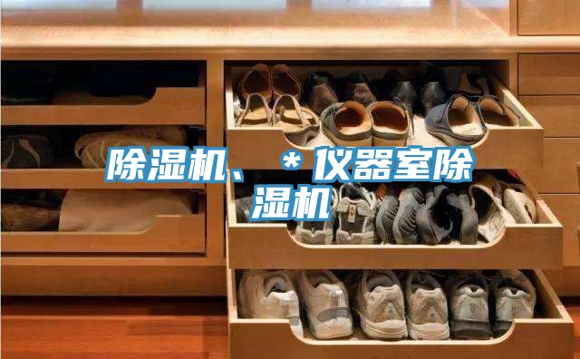 除濕機、*儀器室除濕機