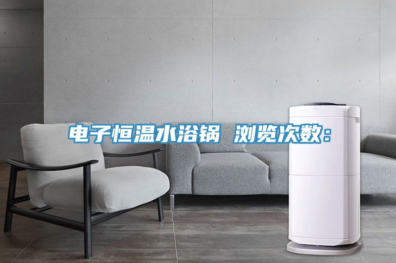 電子恒溫水浴鍋 瀏覽次數(shù):