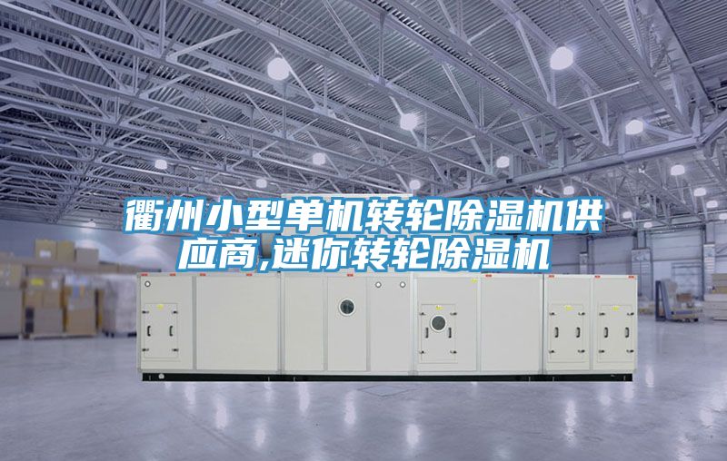 衢州小型單機(jī)轉(zhuǎn)輪除濕機(jī)供應(yīng)商,迷你轉(zhuǎn)輪除濕機(jī)