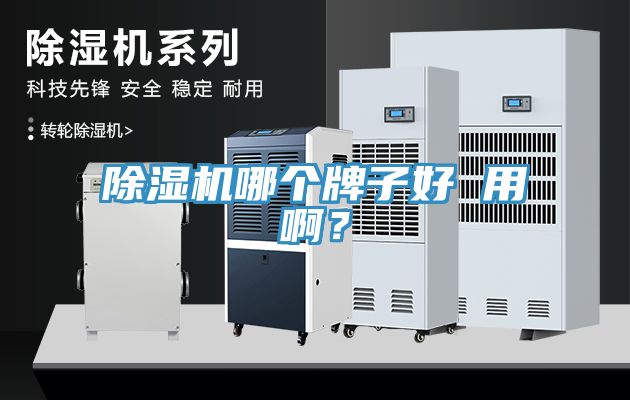 除濕機哪個牌子好 用啊?