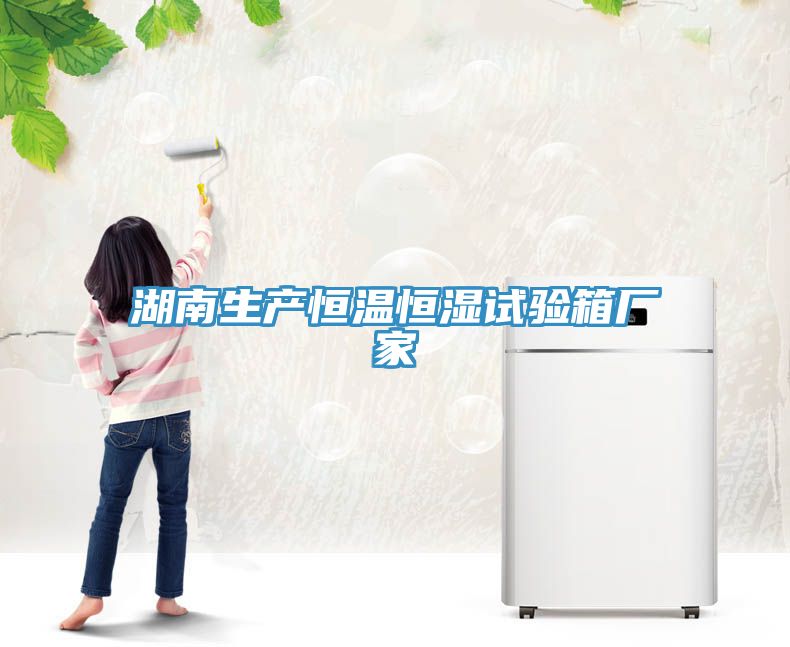 湖南生產恒溫恒濕試驗箱廠家