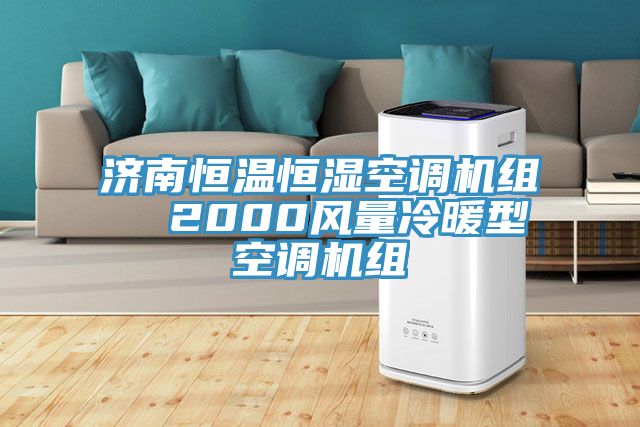 濟(jì)南恒溫恒濕空調(diào)機(jī)組  2000風(fēng)量冷暖型空調(diào)機(jī)組