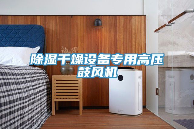 除濕干燥設備專用高壓鼓風機