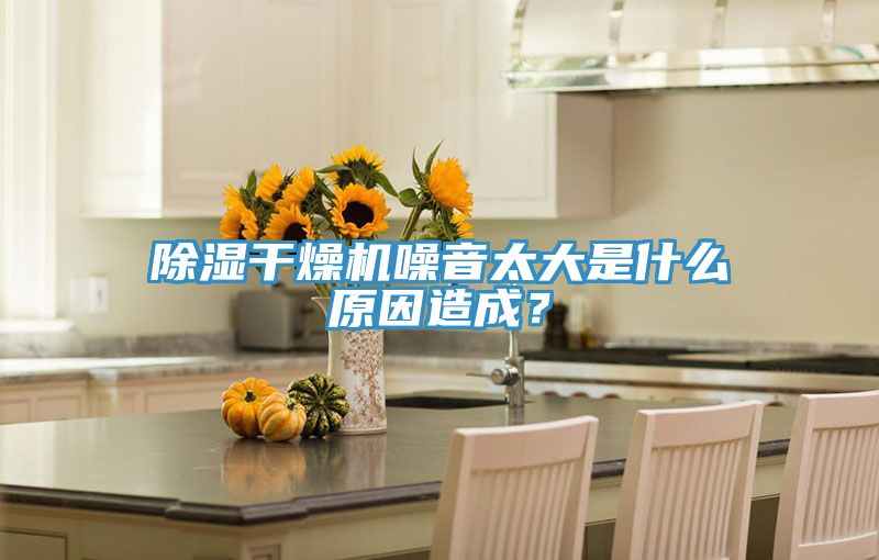 除濕干燥機(jī)噪音太大是什么原因造成?