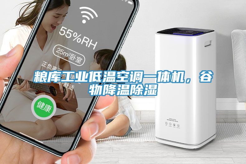 糧庫工業(yè)低溫空調(diào)一體機,谷物降溫除濕
