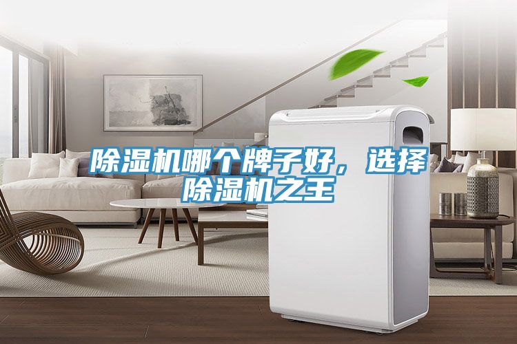 除濕機哪個牌子好,選擇除濕機之王