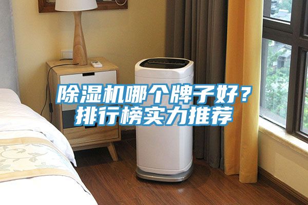 除濕機哪個牌子好?排行榜實力推薦