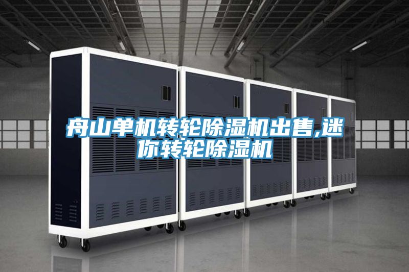 舟山單機(jī)轉(zhuǎn)輪除濕機(jī)出售,迷你轉(zhuǎn)輪除濕機(jī)