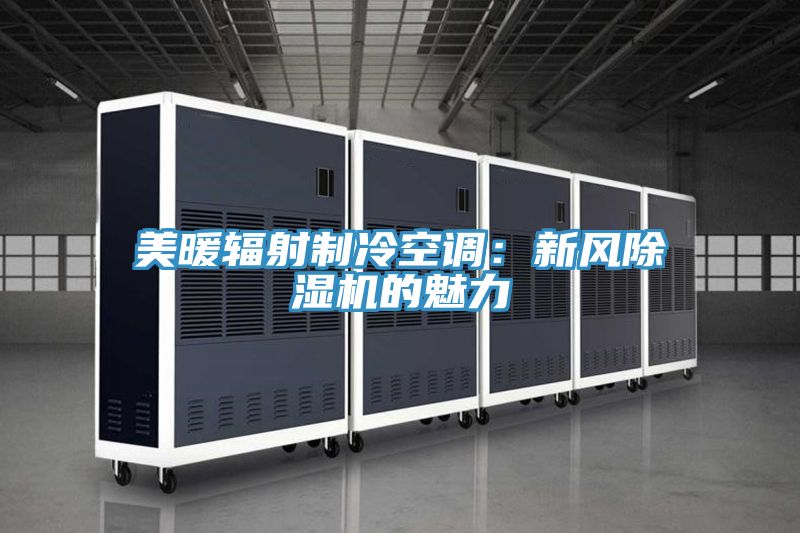 美暖輻射制冷空調(diào):新風(fēng)除濕機(jī)的魅力