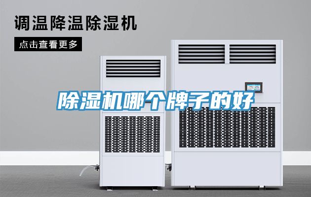 除濕機哪個牌子的好