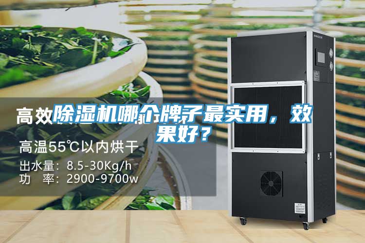 除濕機哪個牌子最實用，效果好？