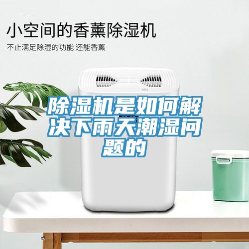 除濕機是如何解決下雨天潮濕問題的