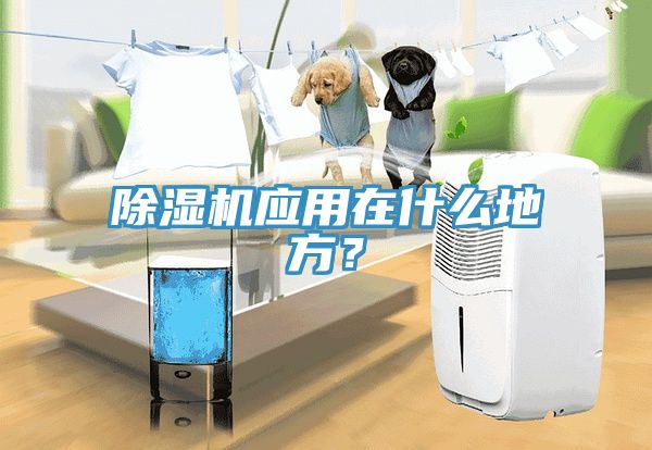 除濕機(jī)應(yīng)用在什么地方？