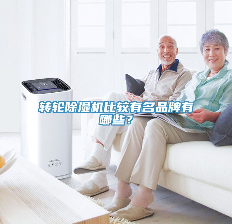 轉(zhuǎn)輪除濕機(jī)比較有名品牌有哪些?