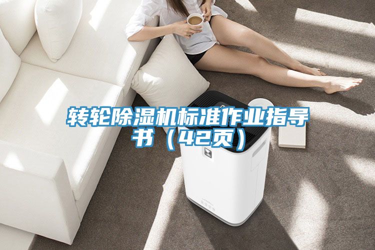 轉(zhuǎn)輪除濕機(jī)標(biāo)準(zhǔn)作業(yè)指導(dǎo)書(42頁)
