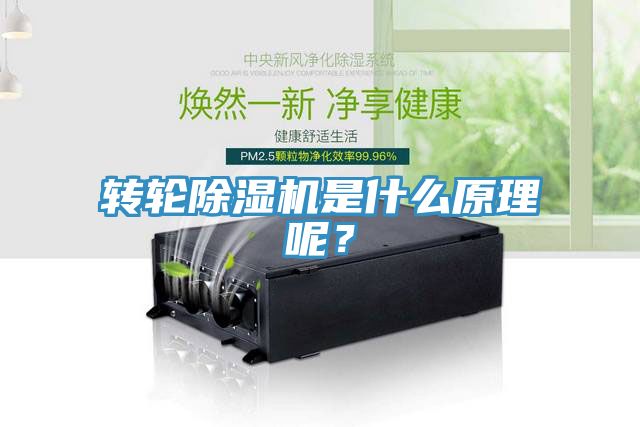 轉輪除濕機是什么原理呢?