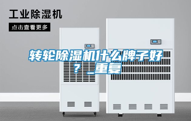 轉輪除濕機什么牌子好？_重復