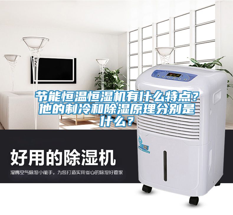 節能恒溫恒濕機有什么特點?他的制冷和除濕原理分別是什么?
