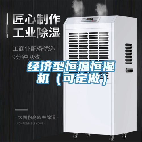 經濟型恒溫恒濕機(可定做)
