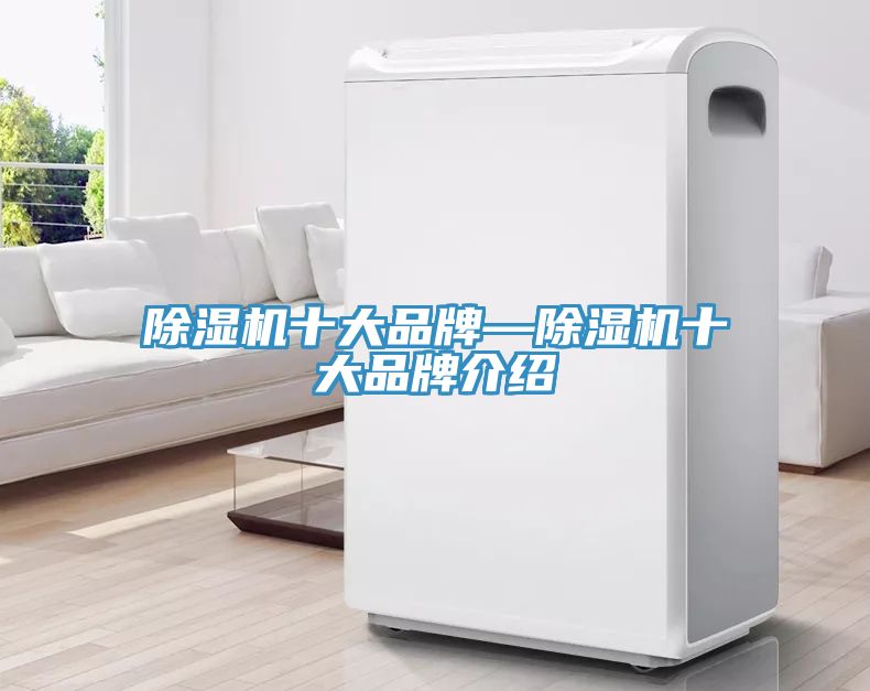 除濕機(jī)十大品牌—除濕機(jī)十大品牌介紹