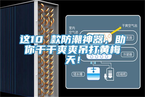這10 款防潮神器，助你干干爽爽吊打黃梅天！
