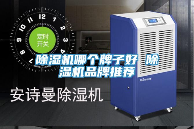 除濕機(jī)哪個(gè)牌子好 除濕機(jī)品牌推薦